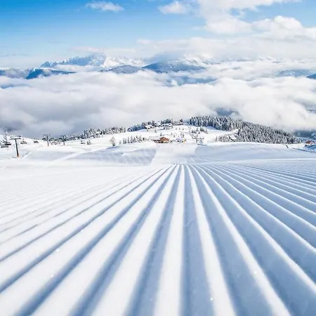 Alpenwelt Superior Flachau