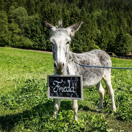 فندق Alpenwelt Superior فلاخاو