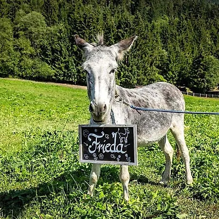 Alpenwelt Flachau