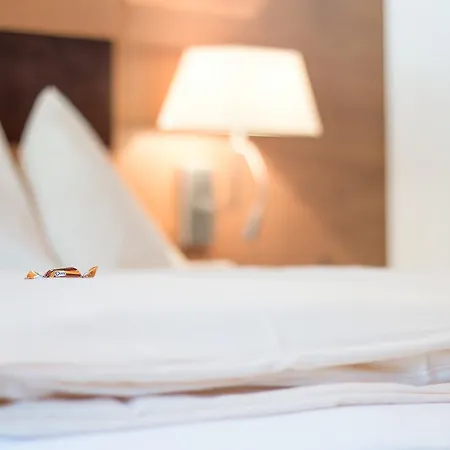 Hotel Alpenwelt Flachau