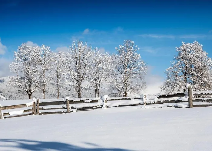 Hotel Alpenwelt Superior